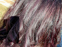 Negocio Hair Profiles Salon & Day Spa
