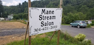 Negocio Mane Stream Salon